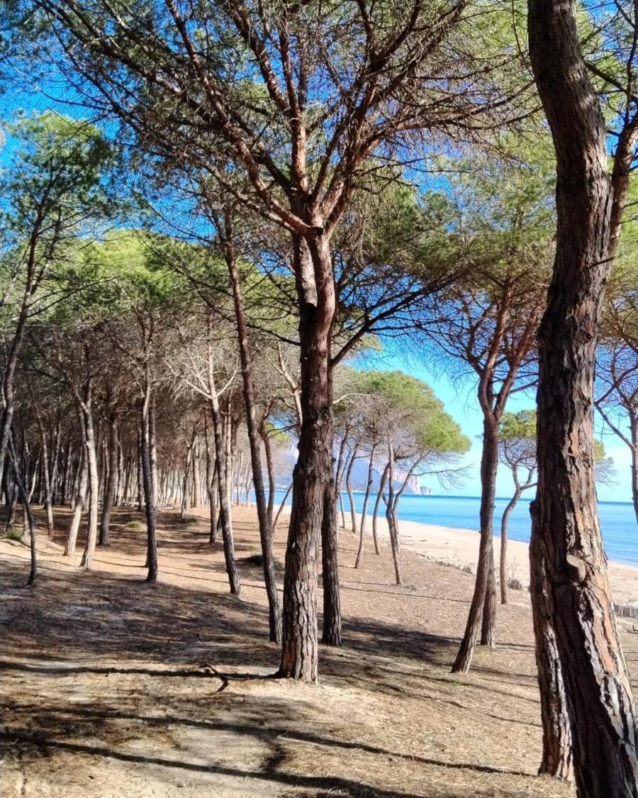 Sadomunostra Appartement Tortolì Buitenkant foto