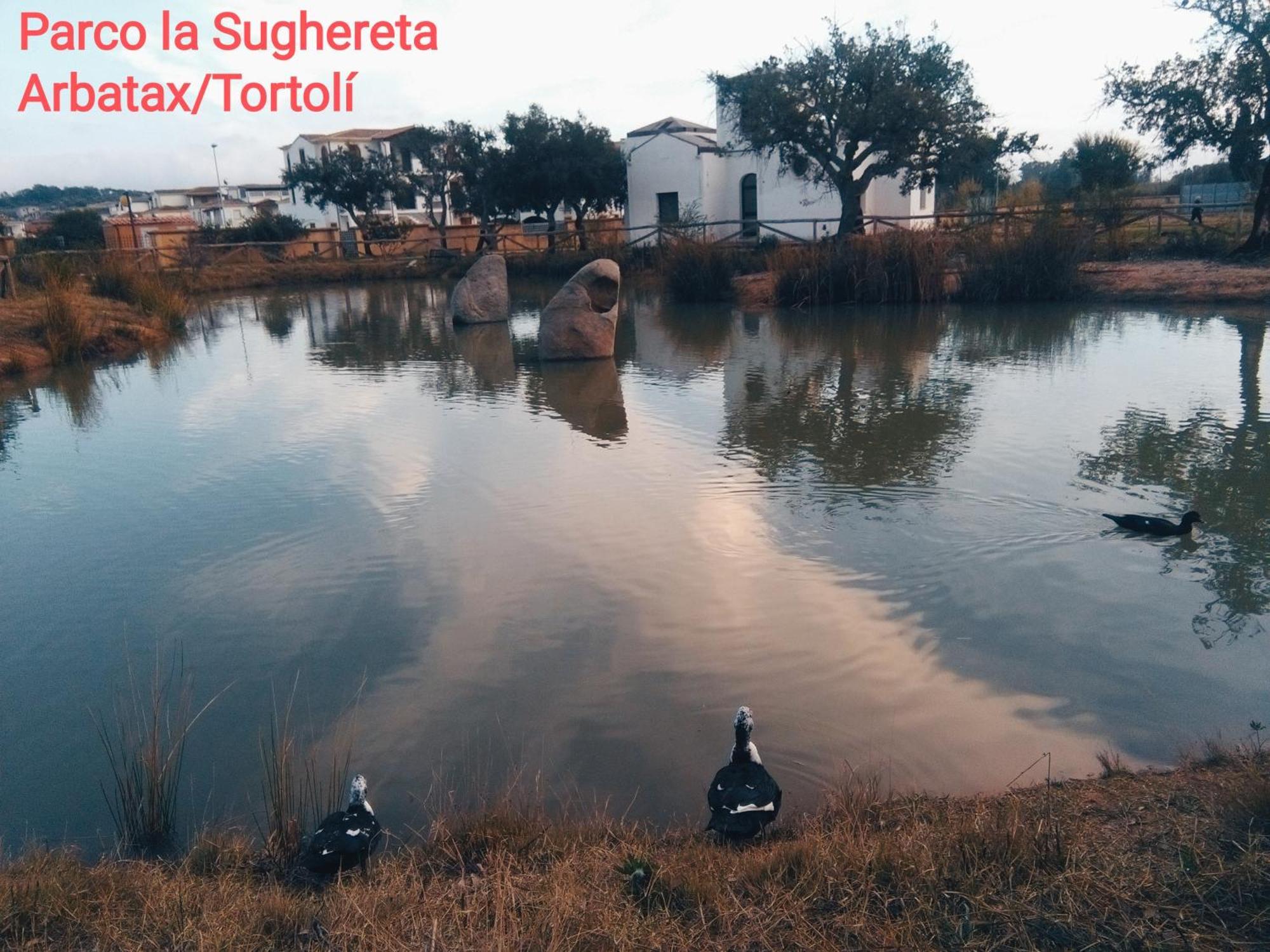 Sadomunostra Appartement Tortolì Buitenkant foto